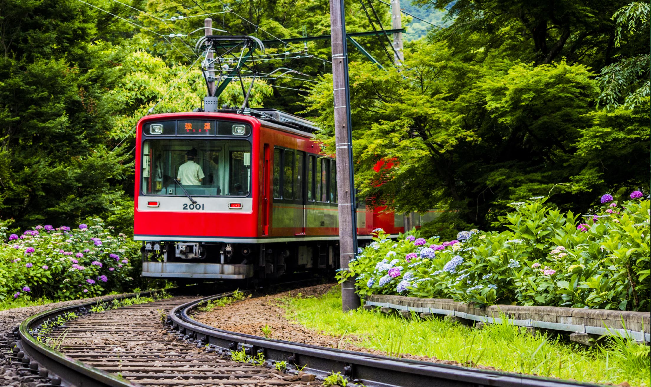 箱根湯本駅より徒歩5分東京より新幹線で60分の好アクセス